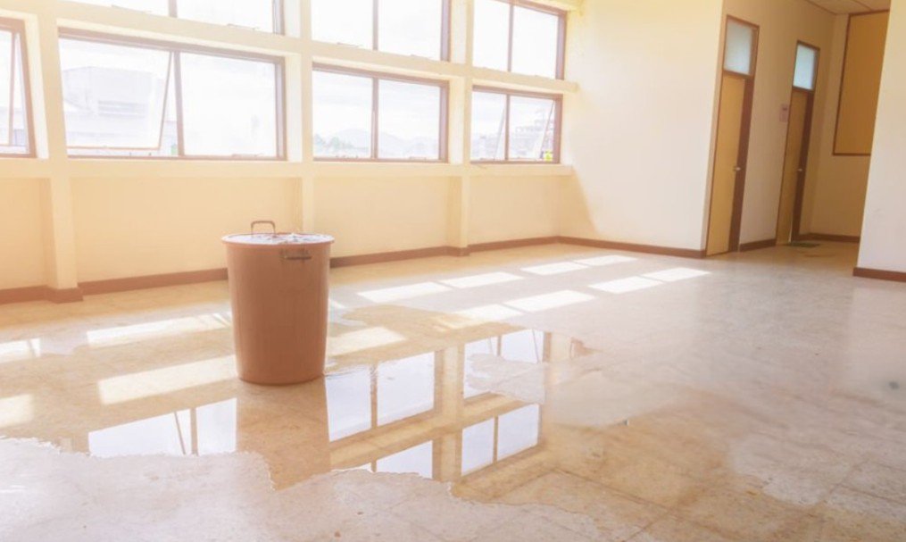 a bucket filled with water leaked from the ceiling in the middle of a puddle of water. emergency roofing
